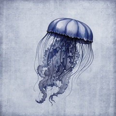 Floating Ocean Beauty I