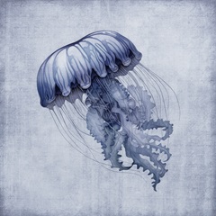 Floating Ocean Beauty II