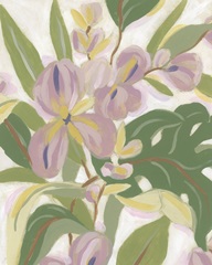 Brushy Tropical Orchid II