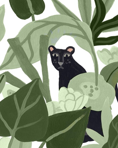 Panther in the Jungle II