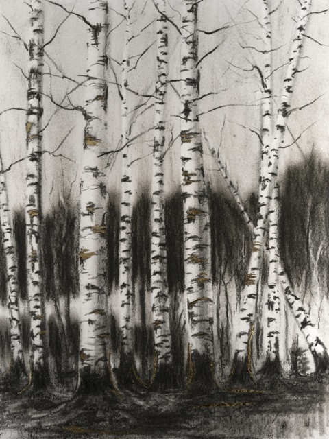 Charcoal Birch Stand I