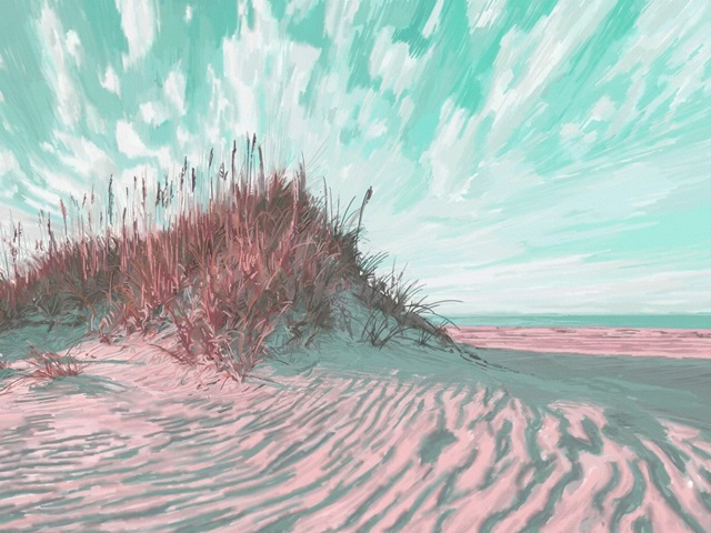 Dramatic Dunes  I