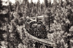 Train to Grand Canyon