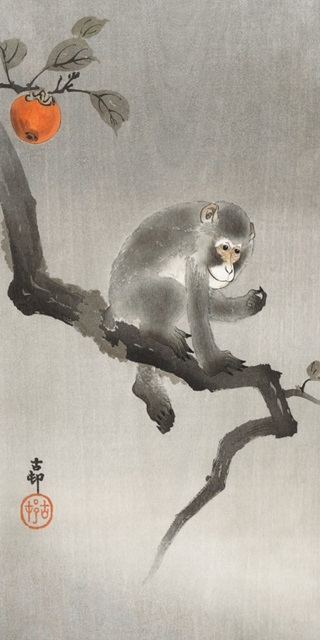 Ohara's Monkeys in Trees I