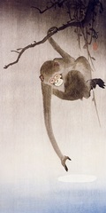 Ohara's Monkeys in Trees II
