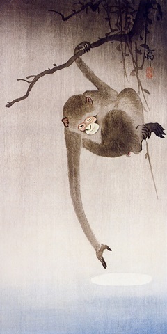 Ohara's Monkeys in Trees II