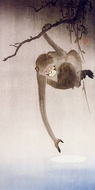 Ohara's Monkeys in Trees II