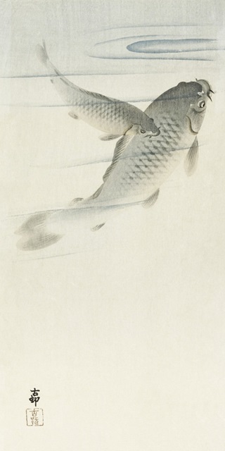 Koson's Carp I