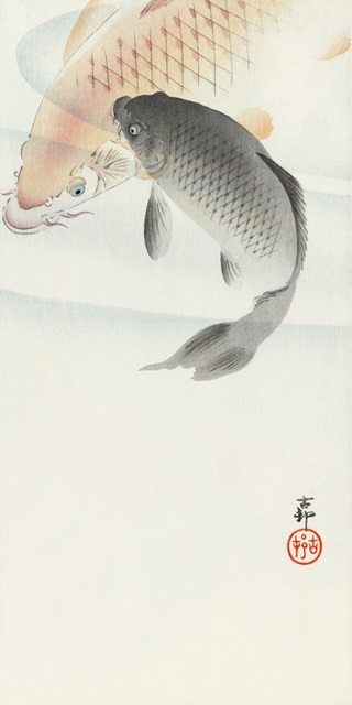 Koson's Carp II