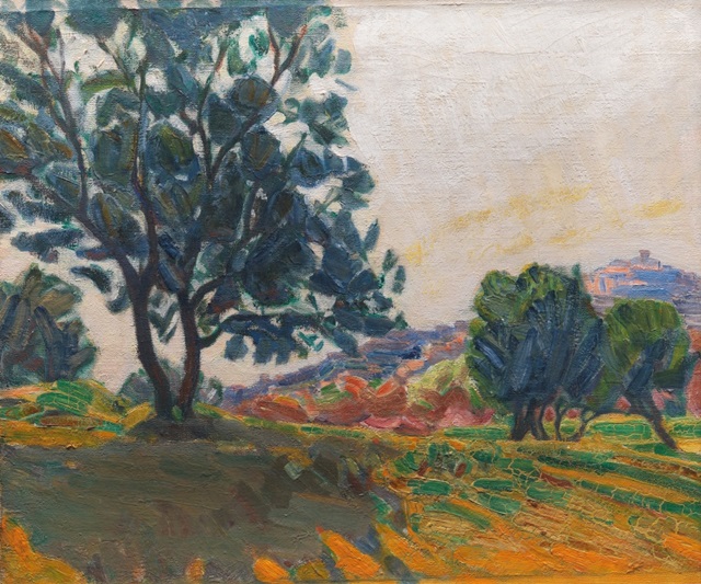 Stevns Olive Groves II