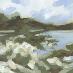 Mountain Marsh I