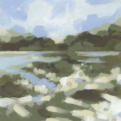 Mountain Marsh II