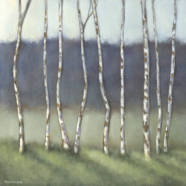 Birch Shadows I