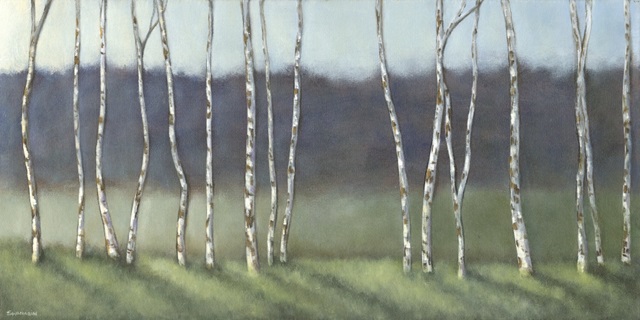 Birch Shadows III