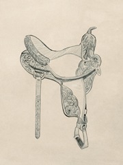 Vintage Saddles I
