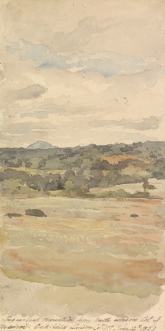 Sully's Rolling Fields III