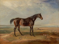 Ward's Horse in Oil I