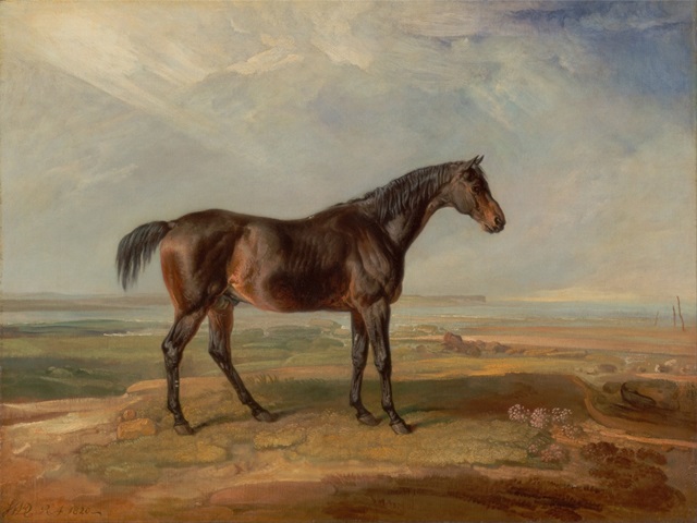 Ward's Horse in Oil I