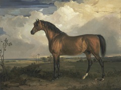 Ward's Horse in Oil II