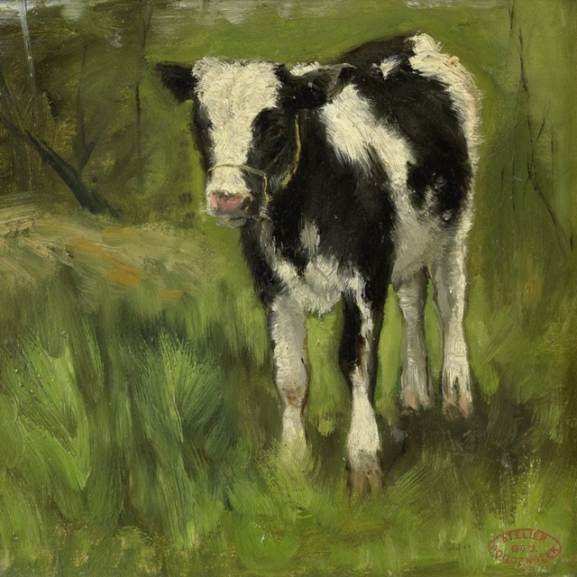 Poggenbeek's Calf I