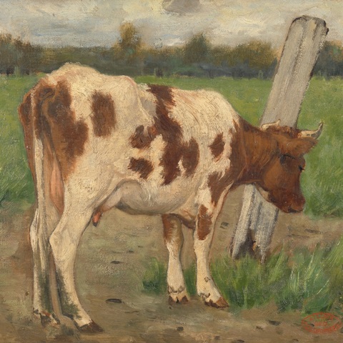 Poggenbeek's Calf II