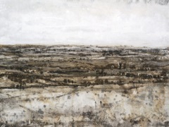 Embellished Distant Valley II