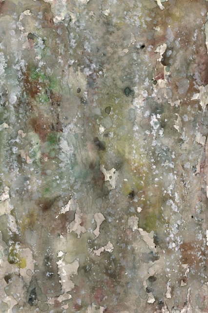 Abstract Bark II