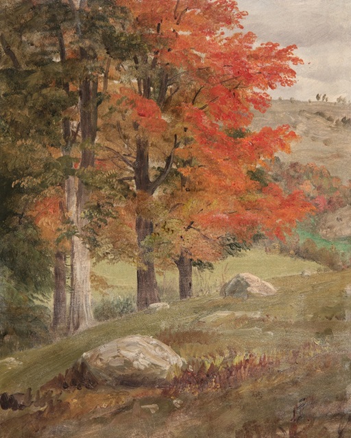 Autumn Tree Studies I