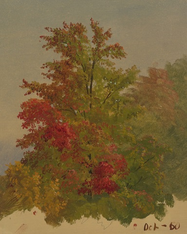 Autumn Tree Studies II