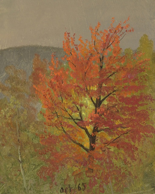 Autumn Tree Studies III