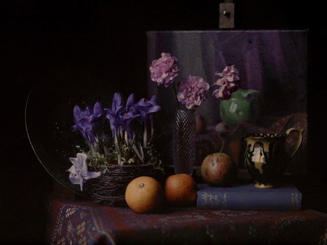 Moody Still Life  V