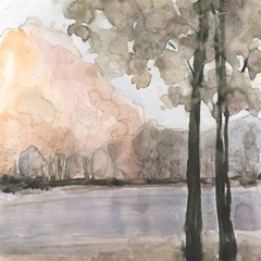 View Behind the Trees II