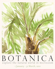 Botanica Exhibition Poster II