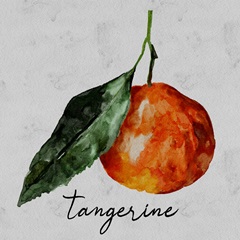 Summertime Citrus III