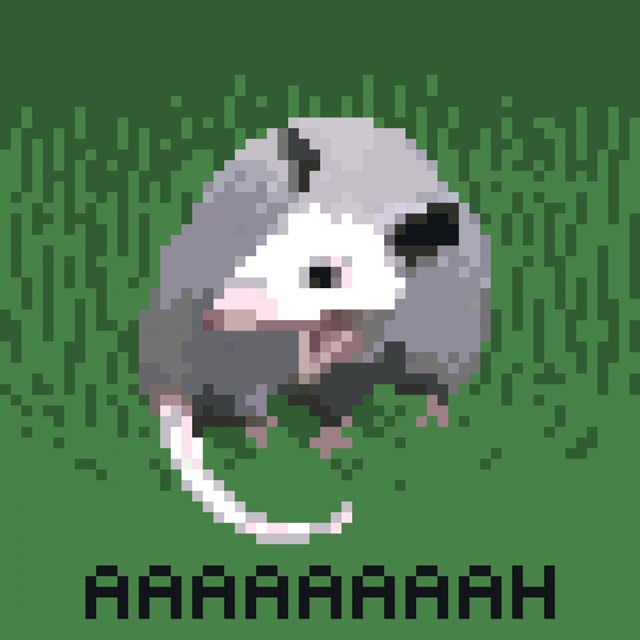 Opossum Panic I