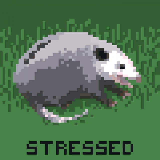 Opossum Panic II