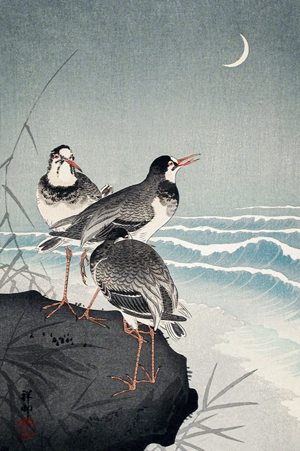 Koson Sandpipers I