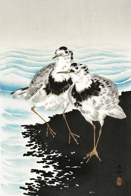 Koson Sandpipers II