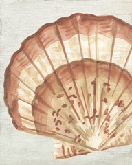 Vintage Shell Vignette II