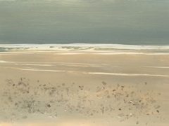 Embellished Sea Shimmer I