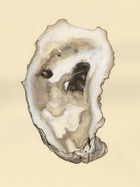 Sepia-toned Oysters II