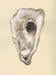 Sepia-toned Oysters IV