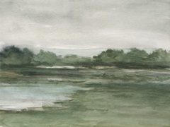 Evergreen Marsh II