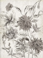 Potpourri Impression II