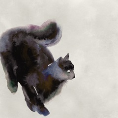 Cat Study I