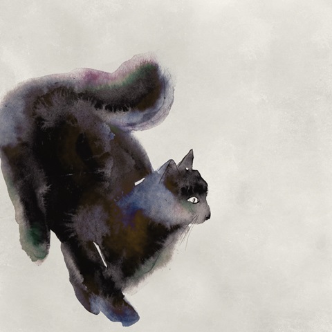 Cat Study I