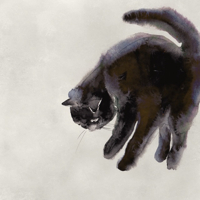 Cat Study II