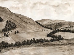 Sepia-toned Hills I