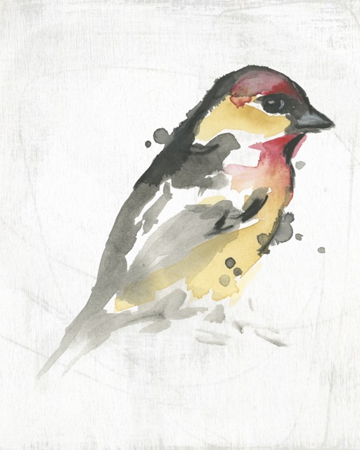 Abstract Songbird Study I