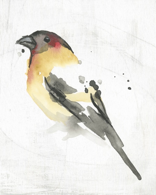 Abstract Songbird Study IV